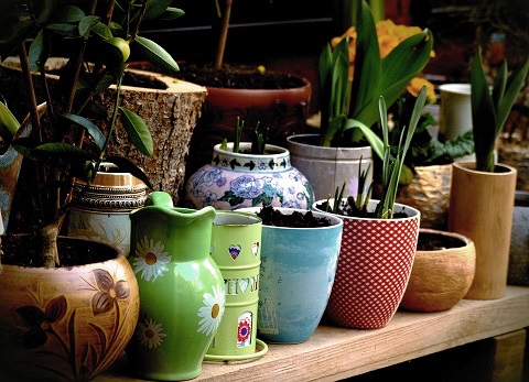 Reused garden plant pots on a shelf